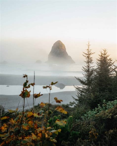 9 Drop-Dead Gorgeous Southern Oregon Coast Destinations (From Brookings