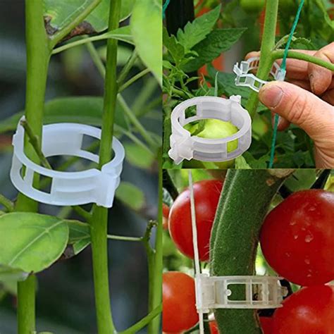 50 100pcs 30mm Plastic Plant Support Clips For Tomato Hanging Trellis