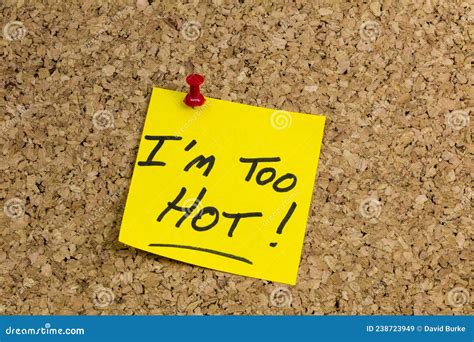 Im Too Hot Body Exercise Workout Beautiful Woman Stock Image Image Of Letterpress Outdoor