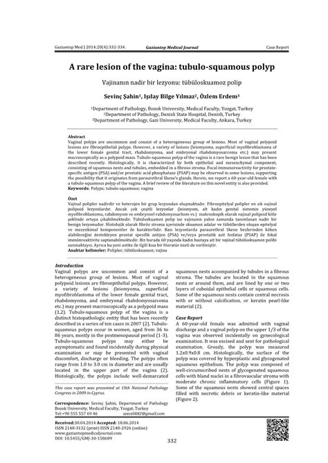 A Rare Lesion Of The Vagina Tubulo Squamous Polyp Docslib
