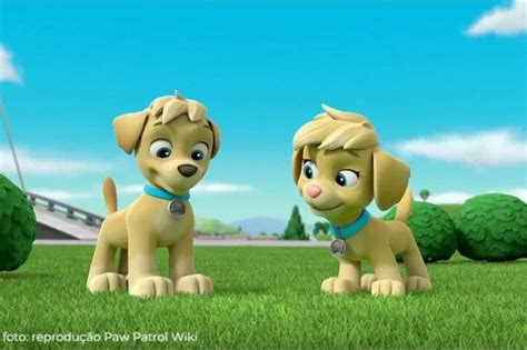 Nomes dos cachorrinhos da Patrulha Canina | Blog da Cobasi