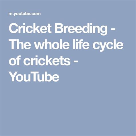 Cricket Breeding - The whole life cycle of crickets | Life cycles ...