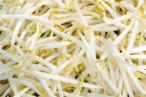 Mung bean sprouts — Stock Photo © jianghongyan #33094365