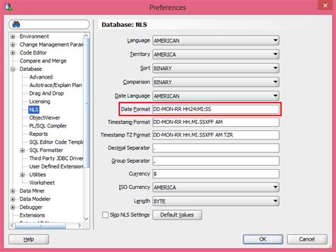 Oracle Sql Set Timestamp Format