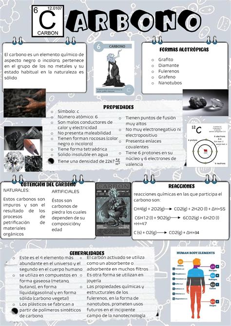 Infografia Quimica Del Carbono Howtodoes