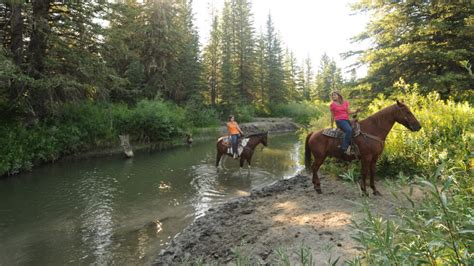 Equestrian Camping - Genesee County Parks