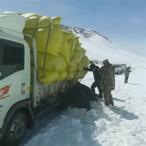 雪灾无情人有情，民警救援暖人心澎湃号·政务澎湃新闻 The Paper