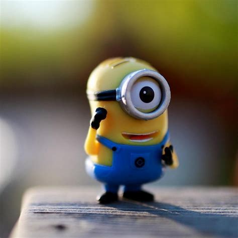 🔥 [50+] Despicable Me iPhone Wallpapers | WallpaperSafari