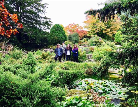 Psychedelic Porn Crumpets My Friend S A Liquid Louder Than War