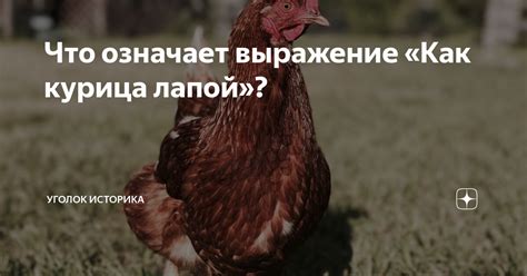 Что означает выражение «Как курица лапой»? | Уголок историка | Дзен