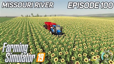 Fertilizing Of Soybeans Sunflowers Fields FS19 Farming Simulator