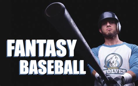 Why You Should Have a Fantasy Baseball Team - Placeit Blog