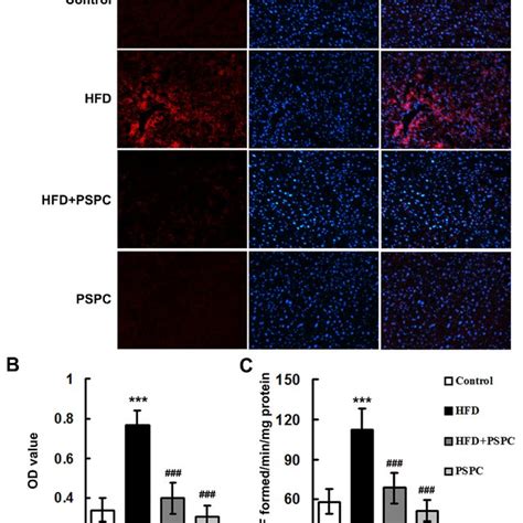 PSPC Attenuates Oxidative Stress In HFD Treated Mouse Livers N 5