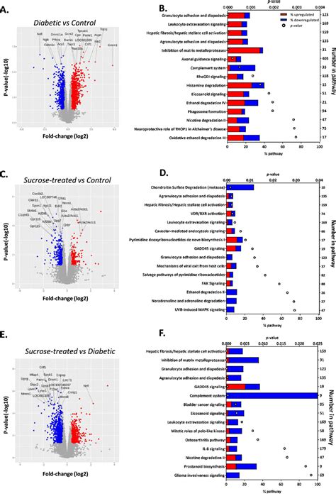 Ingenuity pathway analysis revealed differences in overrepresented ... 
