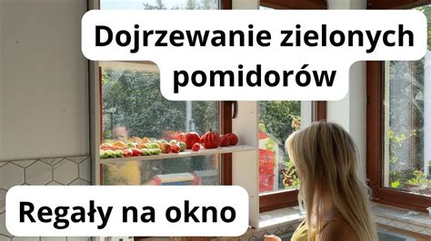 Jak wykorzystuję regały na okno do rozsad i dojrzewania pomidorów