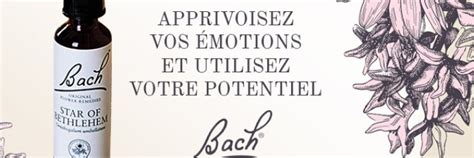 Sur La Gamme Fleurs De Bach Original De Famadem Pharmacie Des