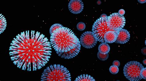 Scientists Discover Nearly 100000 New Types Of Viruses