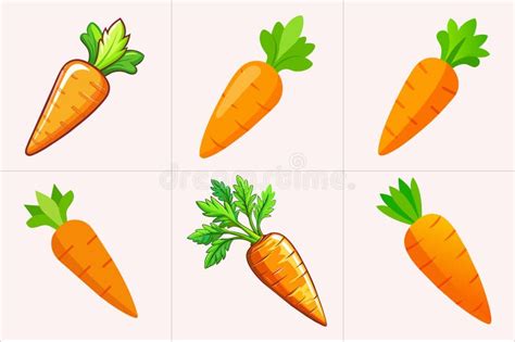 Print Carrotes Vector Illustration Stock Vector Illustration Of