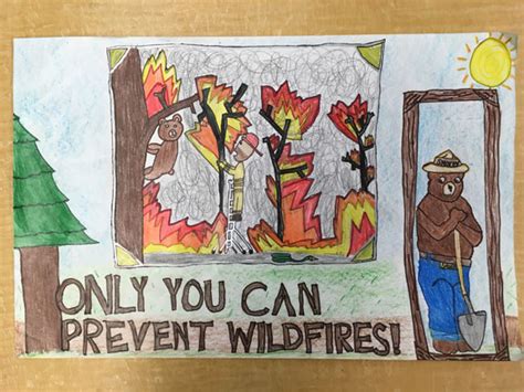 2019 Smokey Bear Poster Contest Winners Chosen | Utah Associated Garden ...