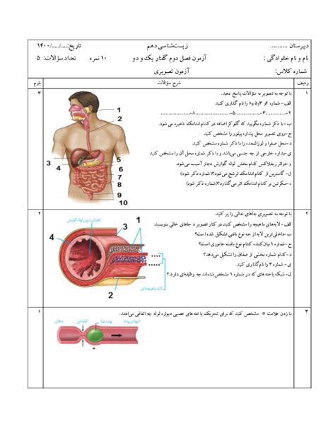 سوالات امتحانی زیست شناسی 1 دهم تجربی پاسخ فصل دوم گفتار 1 و 2