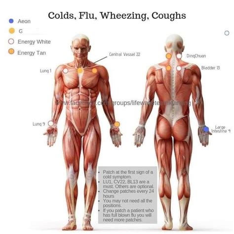 Pin On Lifewave In Body Patches Meridians Meridian Points