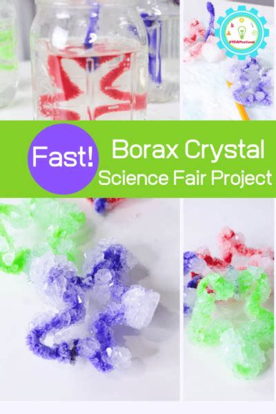 Easy Borax Crystals Science Project Perfect for a Science Fair