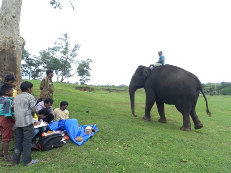 Sathyamangalam Wildlife Sanctuary 8