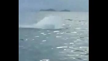 Nueva Rotura Xvideos