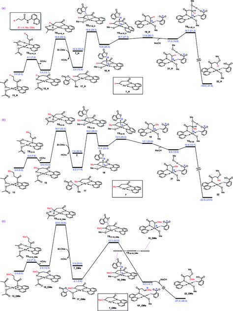 Calculated Energy Profiles For Palladium Catalyzed Alkoxylation Of The