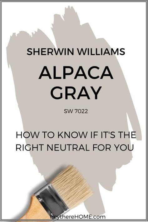 What Color Is Sherwin Williams Alpaca Gray Paint