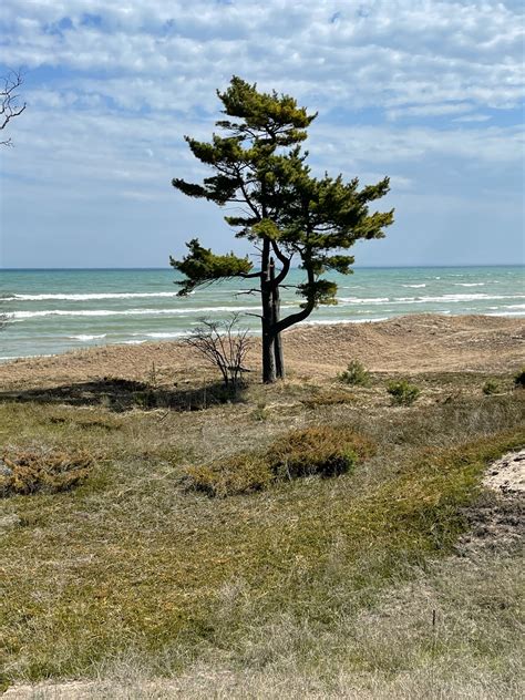 Big in Sheboygan: How the New Art Preserve will Transform Coastal