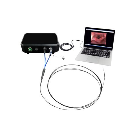 Full Endoscope Systems Myriad Fiber Imaging Tech Inc