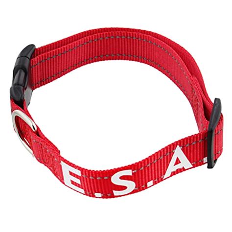 Best Emotional Support Dog Collar For Your Furry Friend