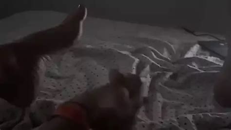 Abril Porn Creator Videos Free Amateur Nudes XHamster