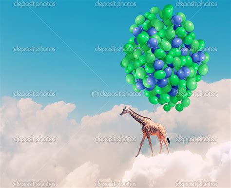 Flying giraffe Stock Photo by ©SergeyNivens 50354853