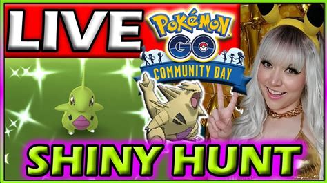 LIVE LARVITAR COMMUNITY DAY SHINY HUNT POKÉMON GO YouTube