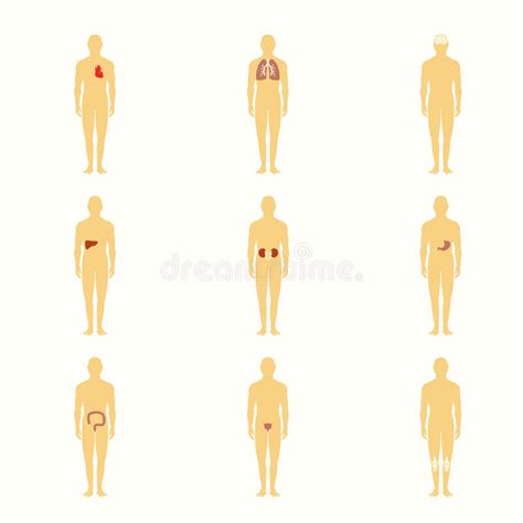 Vector Set Of Flat Icons With Human Organs Stock Vector Illustration