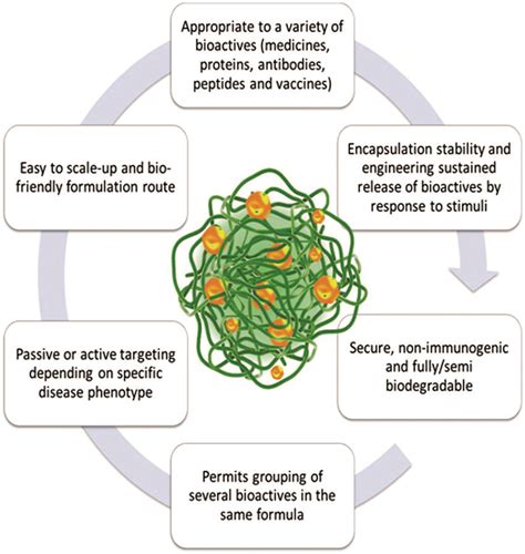 schematic illustration   nanogel network created   direct