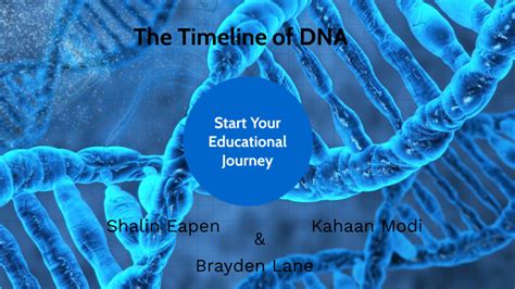 DNA Timeline by