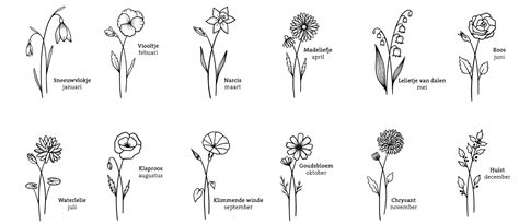 Geboortebloem Welke Hoort Bij Jouw Geboortemaand Fleurop Nl
