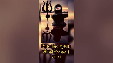 শিব চতুর্দশীর পূজা করতে কি কি উপকরণ লাগবে এক নজরে দেখে নিন শিবরাত্রির