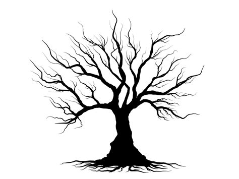 Black Branch Tree Or Naked Trees Silhouettes Hand Drawn Isolated Illustrations Vector