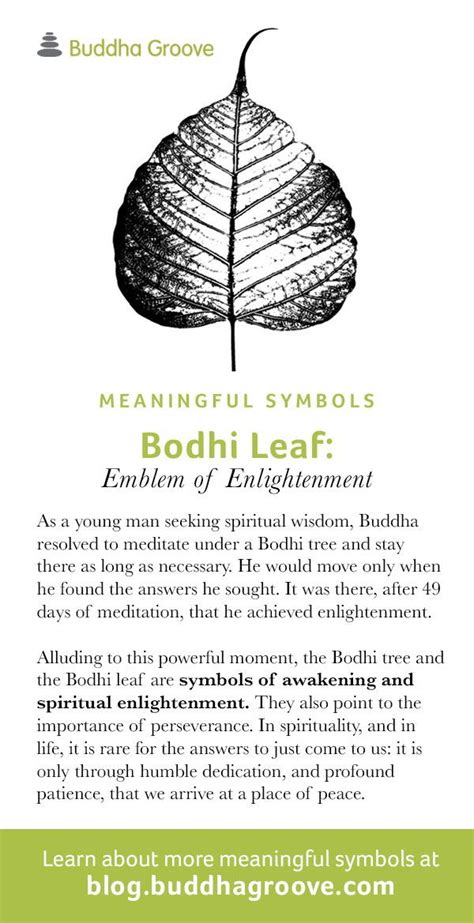 Spiritual Meaning Of A Leaf CHURCHGISTS