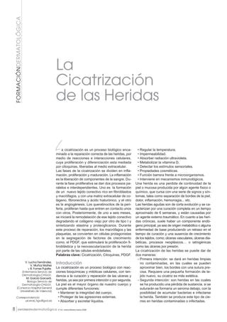 Dialnet Cicatrizacion Heridas Pdf