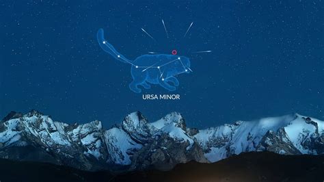 Ursids Meteor Shower 2024 | December 21 Meteor Shower | Ursid Meteors | Star Walk