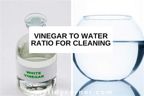 Vinegar to Water Ratio for Cleaning Different Surfaces and Things