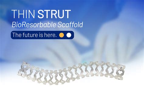 Bioresorbable Coronary Stent The Future Of Pci Meril Life