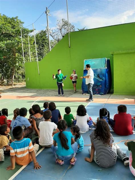 Inicia La Temporada De Anidaci N De Tortugas En Puerto Morelos Noticias