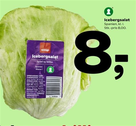 Coop 365 Icebergsalat Fakta 2021 Alle Tilbudsavis