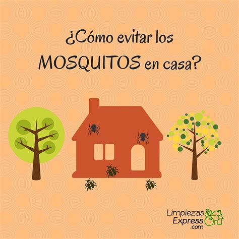 Evitar Mosquitos En Casa Olv Date De Las Picaduras